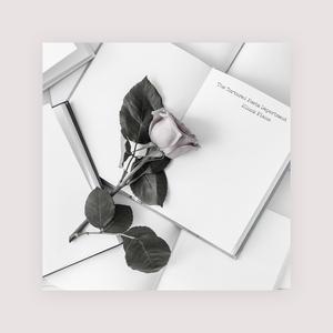 深圳妈妈15-20章读书笔记
